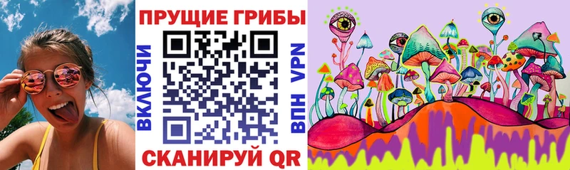 купить закладку  блэк спрут tor  Псилоцибиновые грибы Psilocybe  Игра 