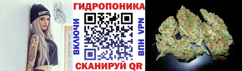 Бошки марихуана AK-47  это клад  Игра 